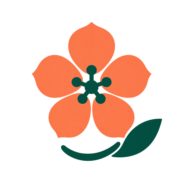 杏花云机场